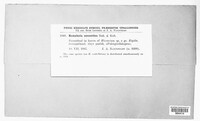 Image Associated With the Occurence